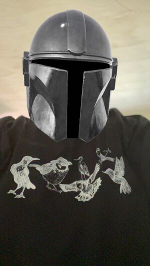 Titanium-taxi-bird-shirt.jpg