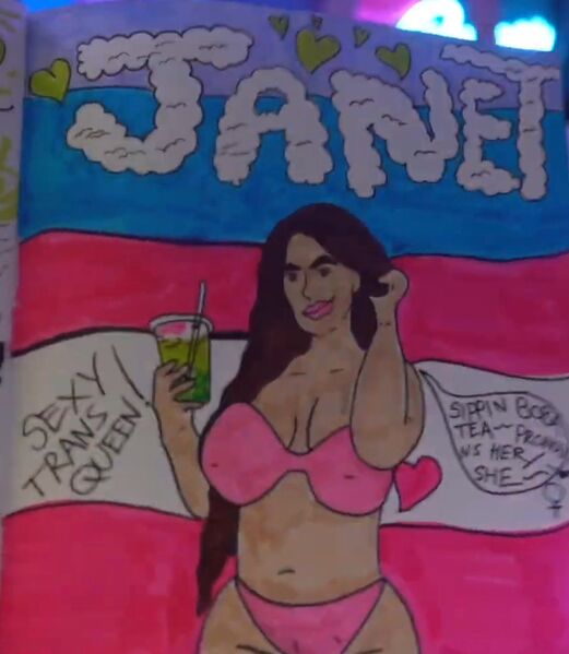 File:JanetGoodBookInfobox.jpg